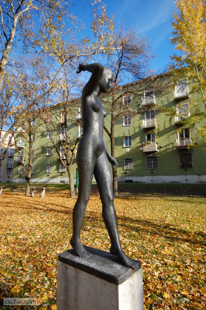 DSC_62022015-11-12_13-51-43