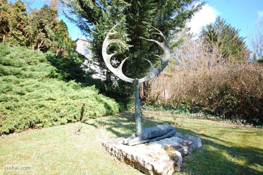 DSC_75812016-02-24_12-33-49