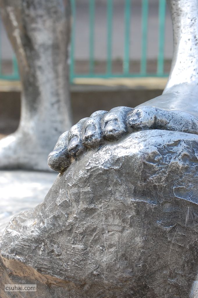 DSC_76502014-03-28_10-58-02