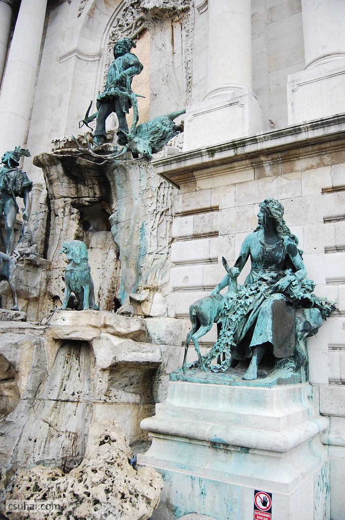 DSC_78052008-11-09_11-57-44