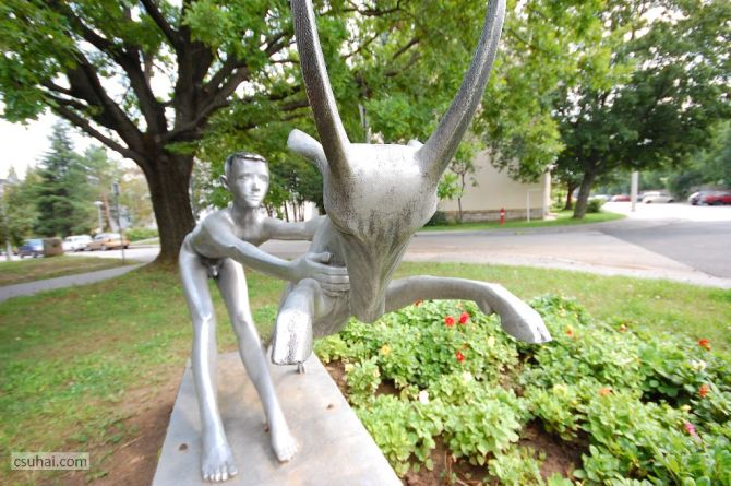 DSC_96442014-08-11_13-48-14