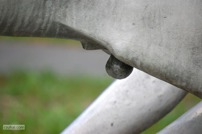 DSC_96522014-08-11_13-49-58