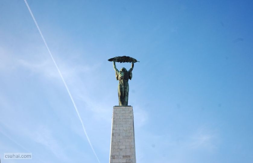 dsc_36652014-12-27_14-01-18