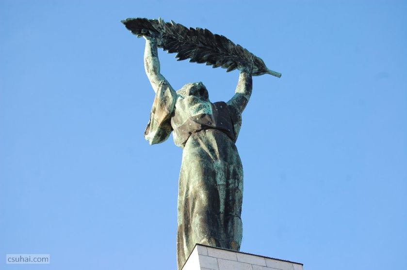 dsc_36772014-12-27_14-03-20