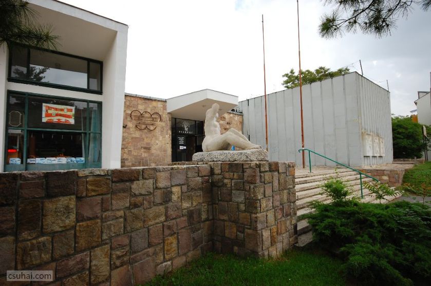 dsc_37072013-05-17_15-13-16