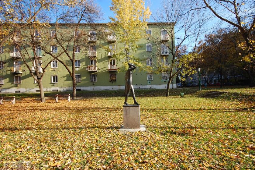 dsc_61862015-11-12_13-50-29