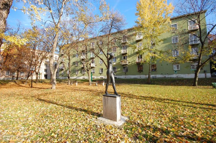 dsc_61872015-11-12_13-50-34