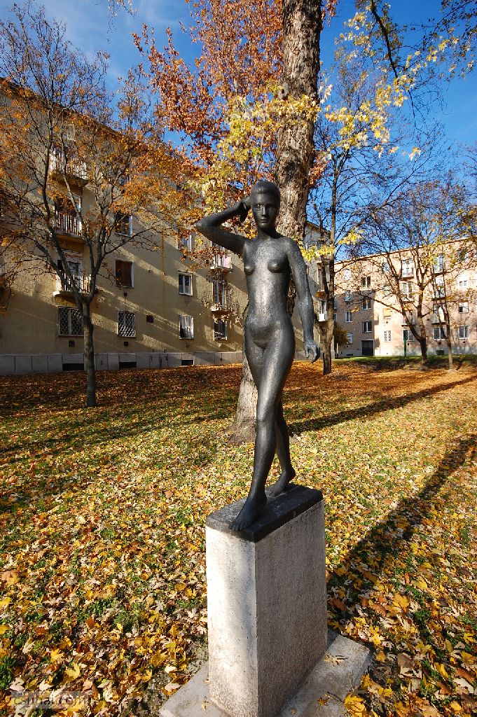 dsc_61912015-11-12_13-50-48