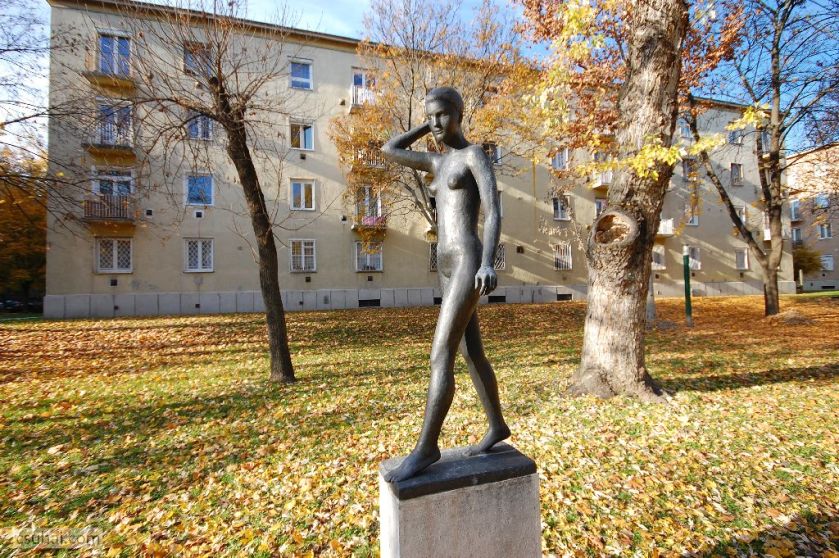 dsc_61932015-11-12_13-50-56