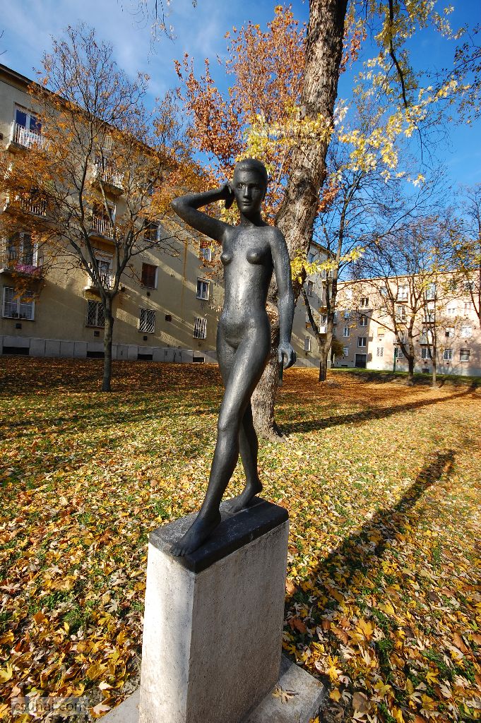 dsc_61942015-11-12_13-51-01