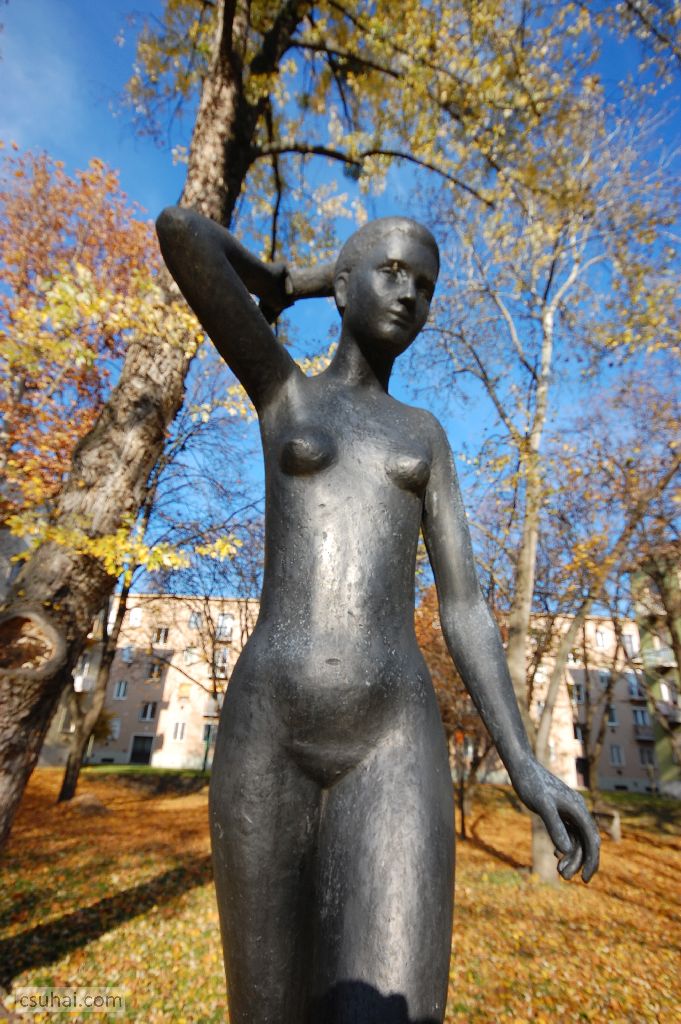 dsc_62002015-11-12_13-51-29