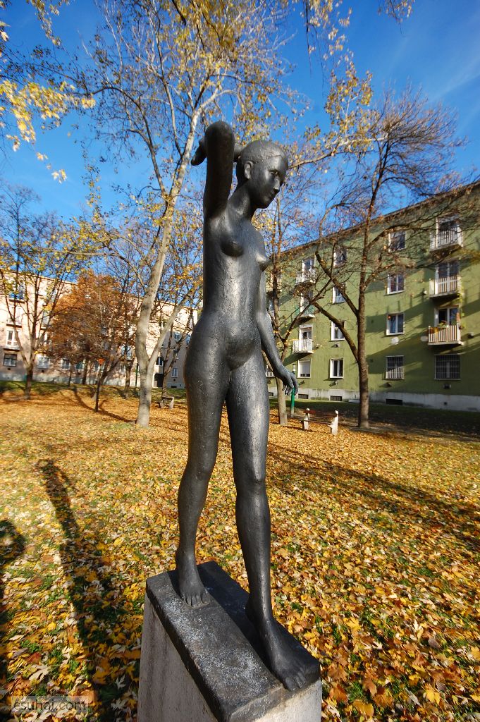 dsc_62012015-11-12_13-51-35