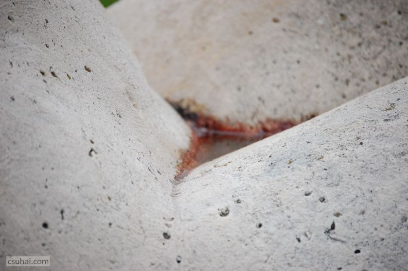 dsc_91842014-04-20_12-02-20