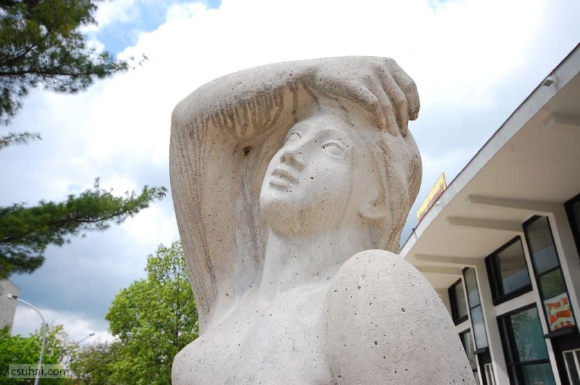 dsc_91942014-04-20_12-03-44