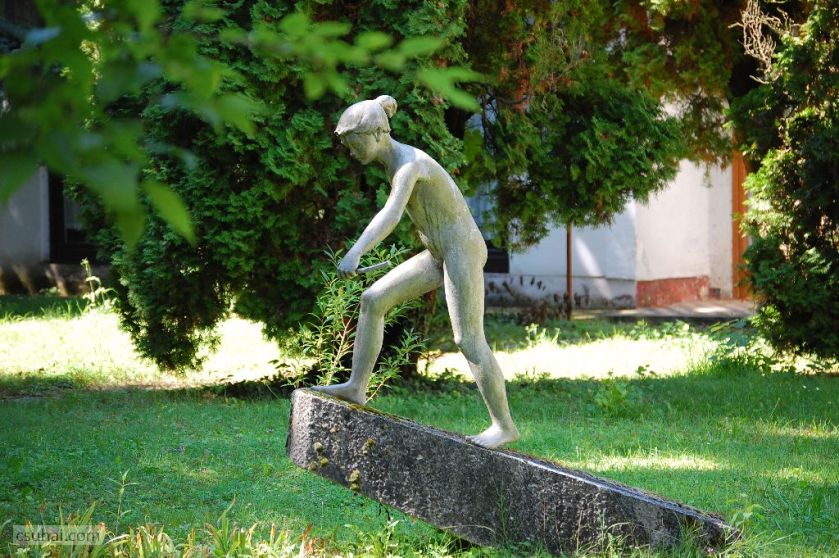 dsc_60072016-08-20_14-01-30