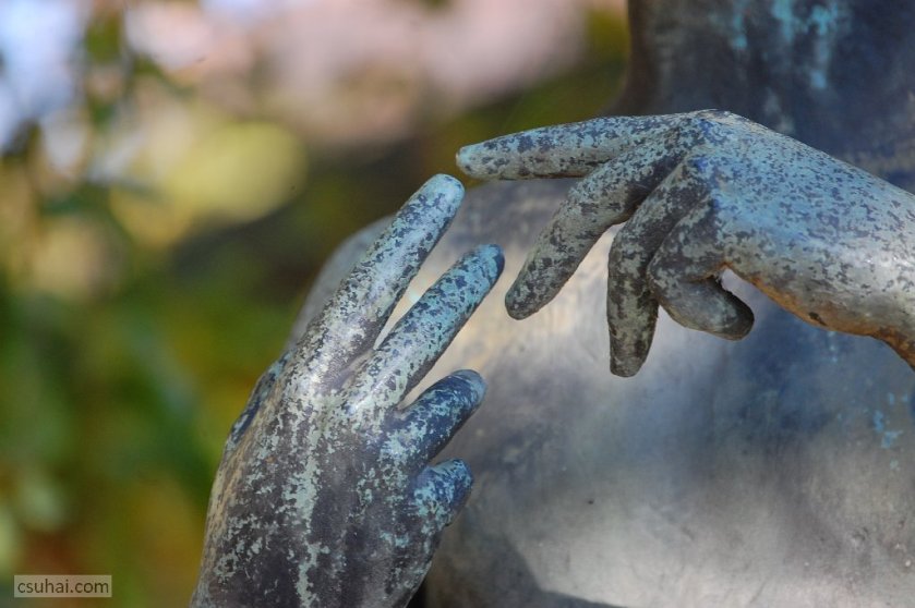 dsc_56822015-10-22_12-51-41