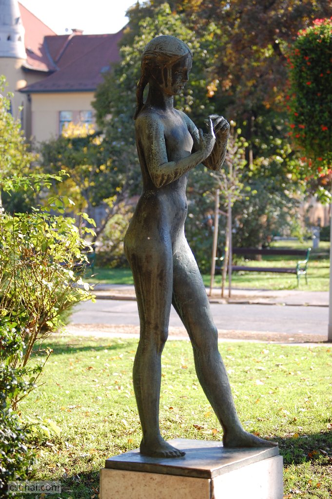 dsc_56942015-10-22_12-53-04