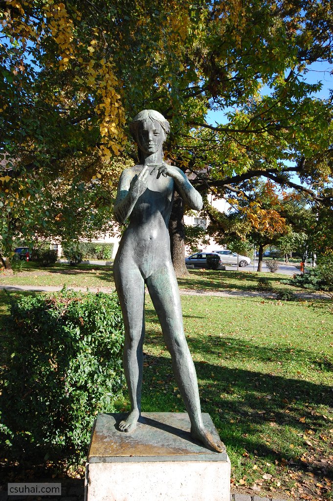 dsc_57522015-10-22_13-19-24