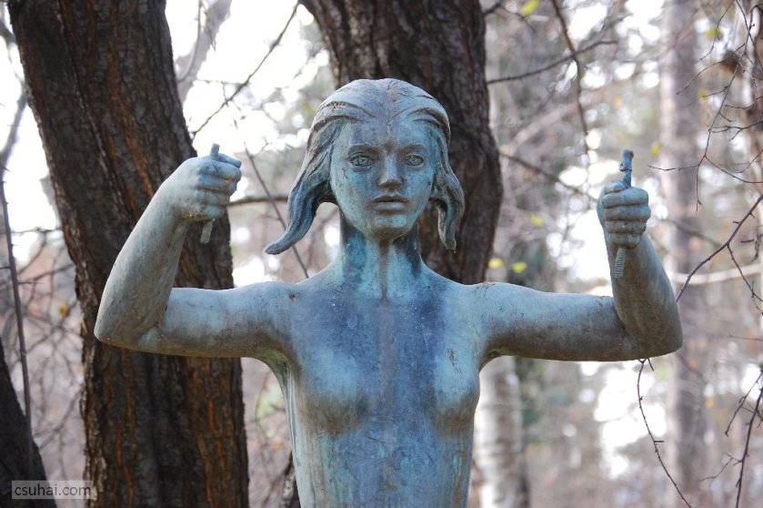 dsc_82522016-11-30_12-51-46