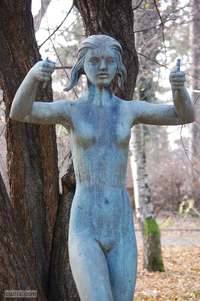 dsc_82542016-11-30_12-51-55