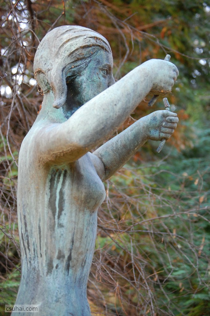 dsc_82582016-11-30_12-52-12