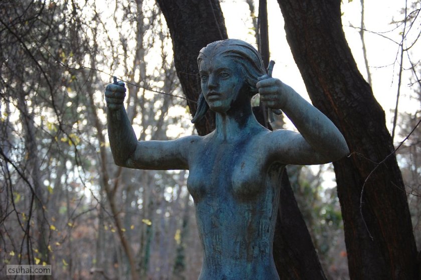 dsc_82602016-11-30_12-52-30