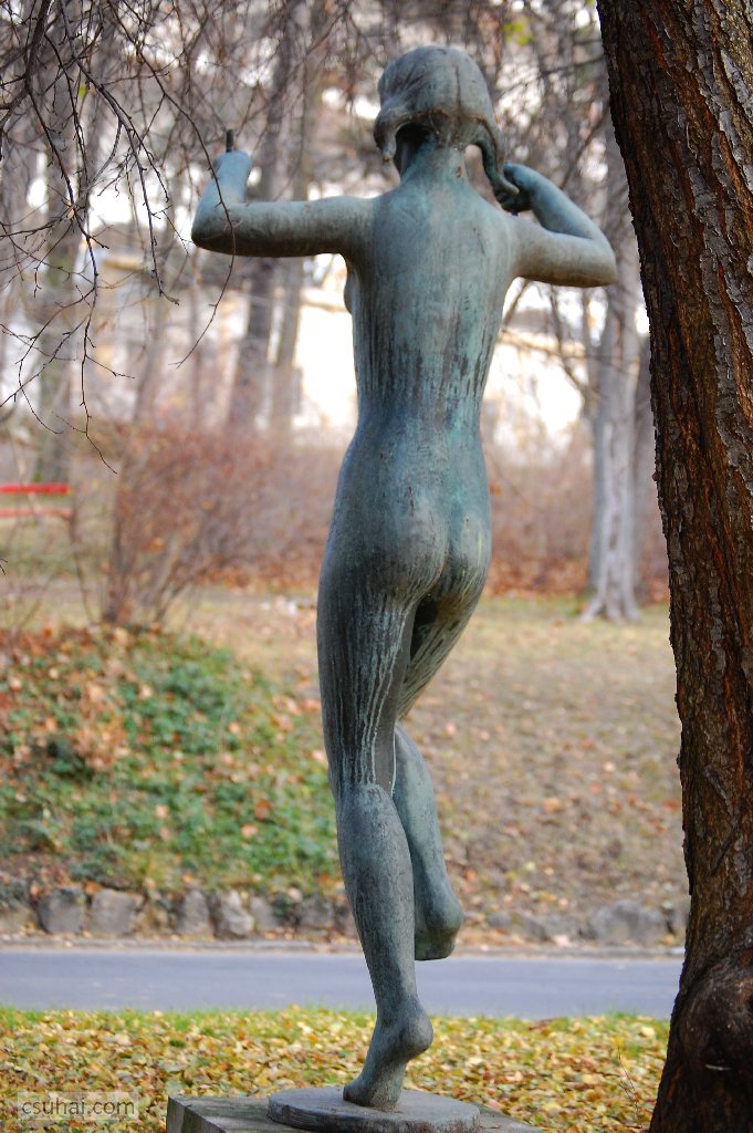 dsc_82652016-11-30_12-53-16