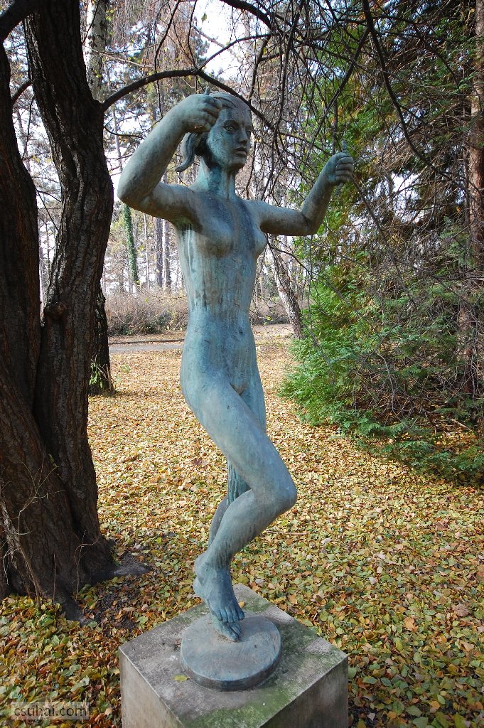 dsc_82902016-11-30_13-12-07