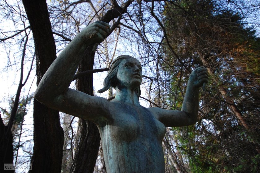 dsc_82922016-11-30_13-12-15