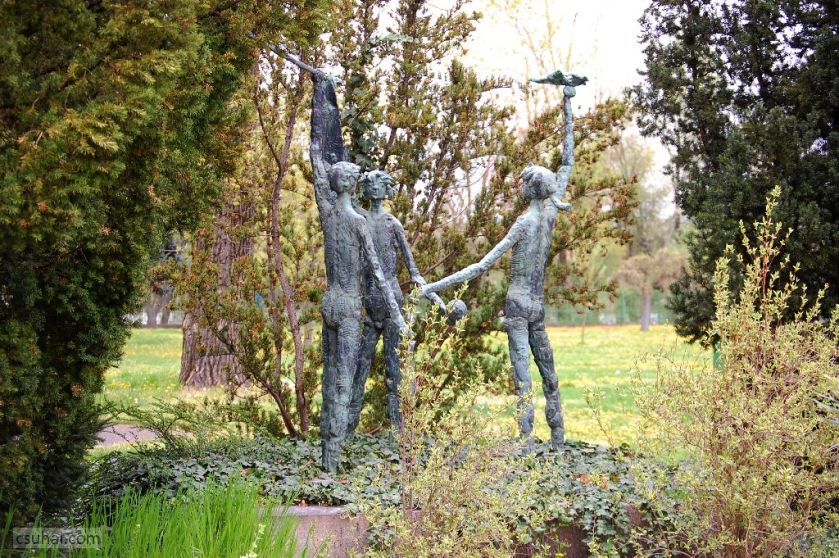 dsc_08622016-04-10_12-18-26