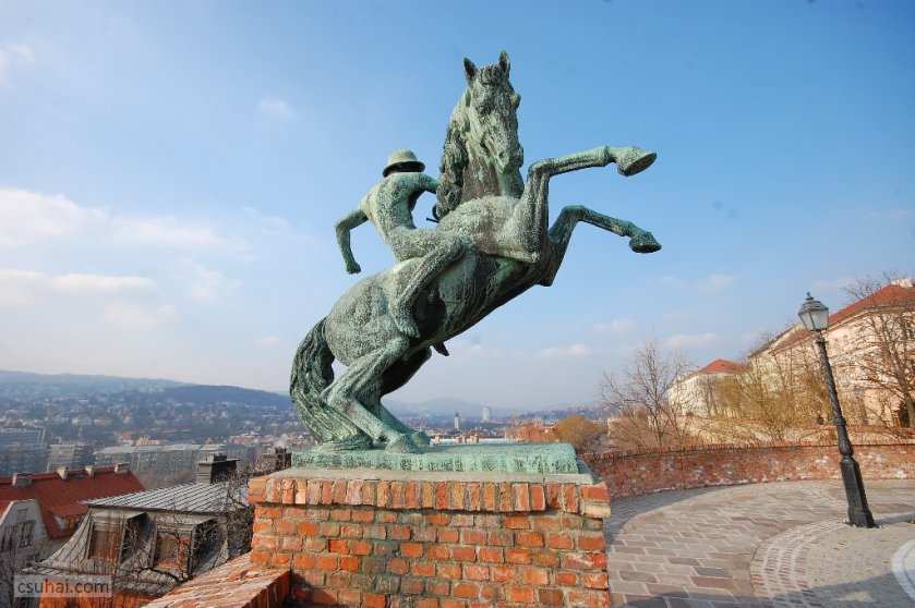 dsc_28462012-01-29_12-58-25