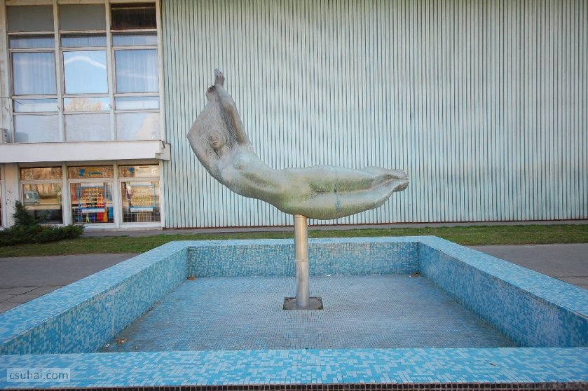 dsc_61772015-03-08_13-31-27