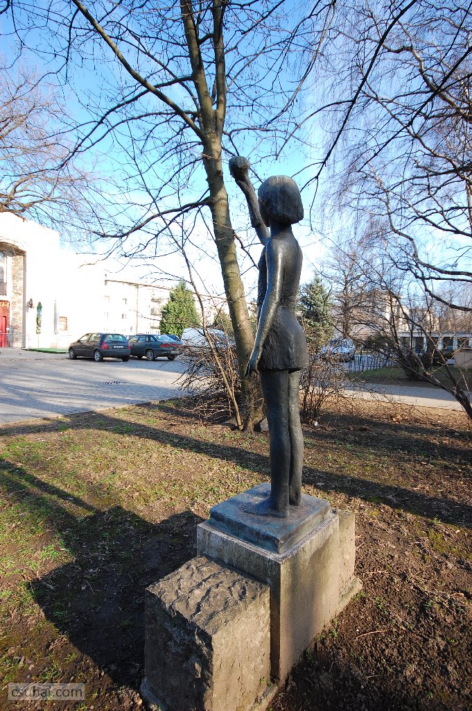 dsc_63252015-03-08_15-30-28