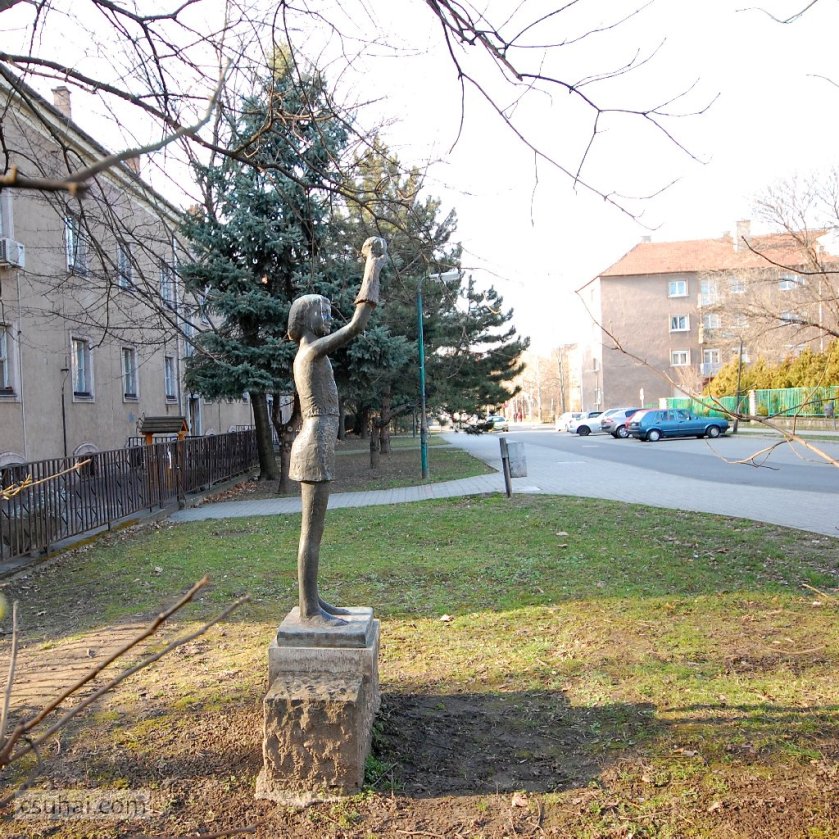 dsc_63582015-03-08_15-34-35