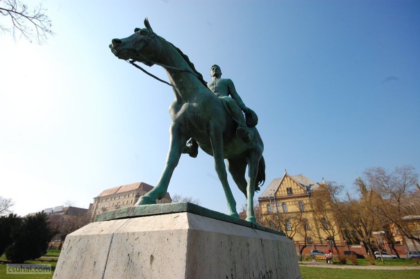 dsc_66872014-03-14_11-01-42