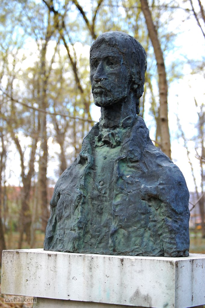 dsc_69352015-04-03_09-42-26