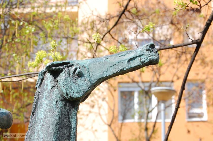 dsc_76792014-03-28_11-14-51