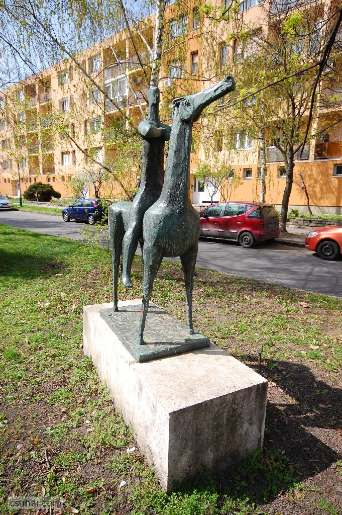 dsc_76832014-03-28_11-15-58