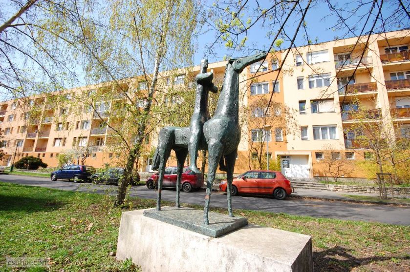 dsc_76922014-03-28_11-16-44