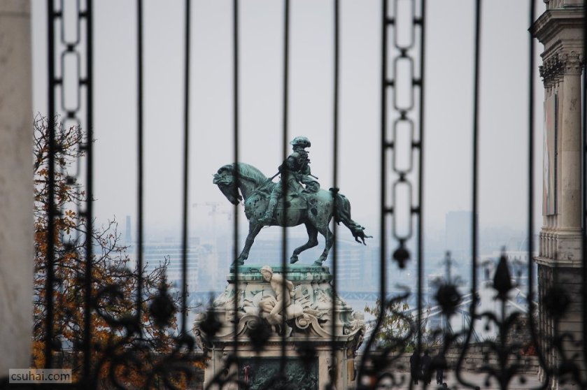 dsc_79032008-11-09_12-26-04