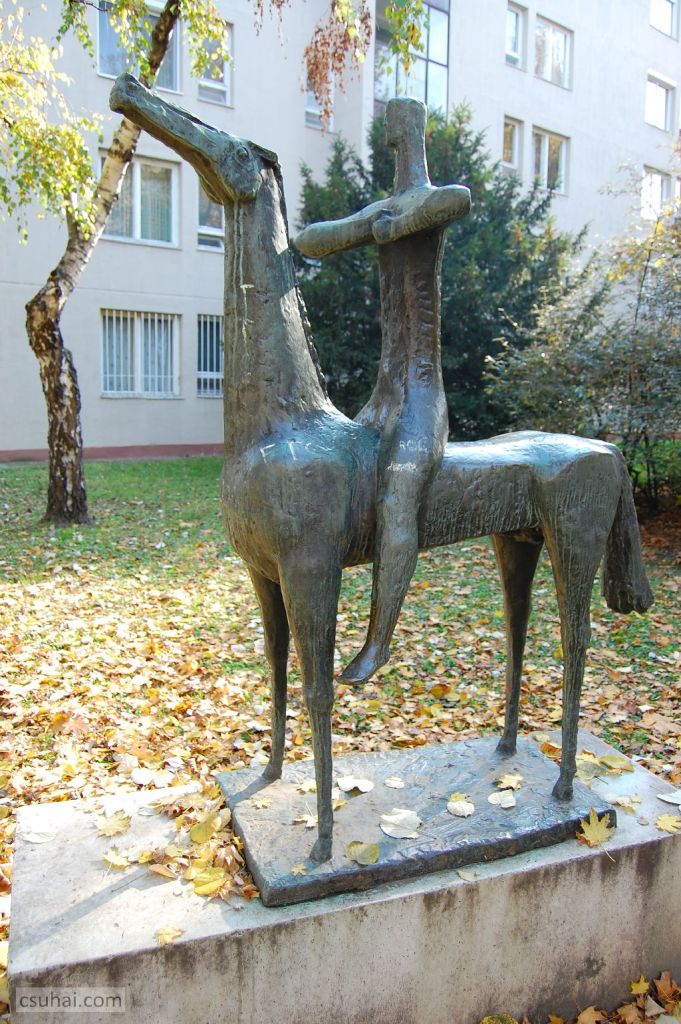 dsc_80512010-11-03_13-27-44