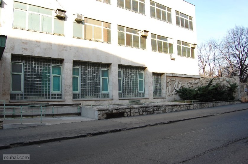 dsc_95872011-01-22_12-51-16