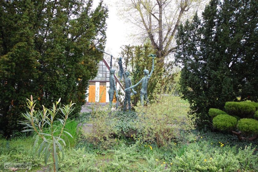 dsc_08132016-04-10_12-13-42