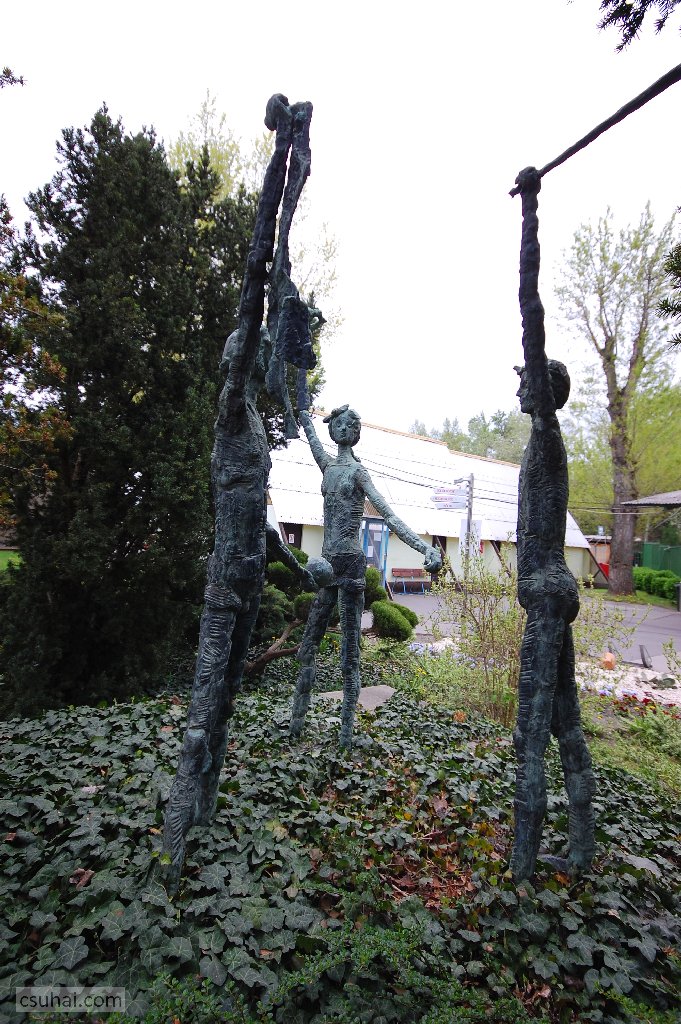 dsc_08172016-04-10_12-14-20