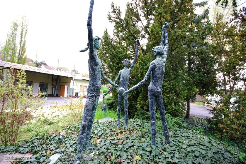 dsc_08182016-04-10_12-14-38