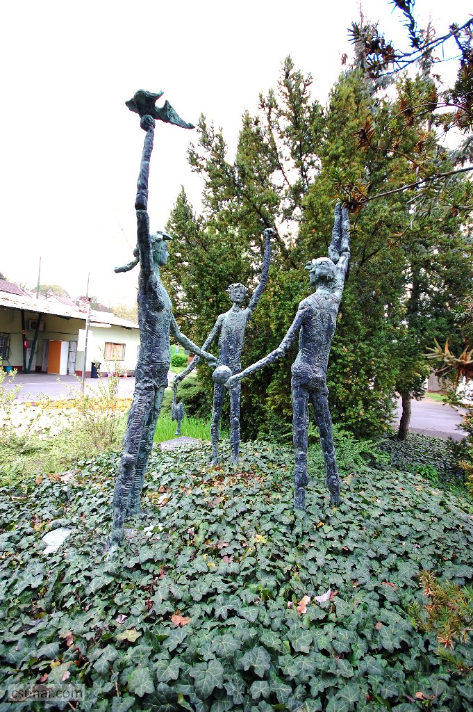 dsc_08192016-04-10_12-14-40