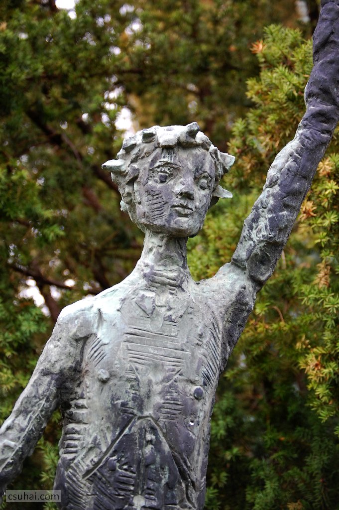 dsc_08322016-04-10_12-16-12