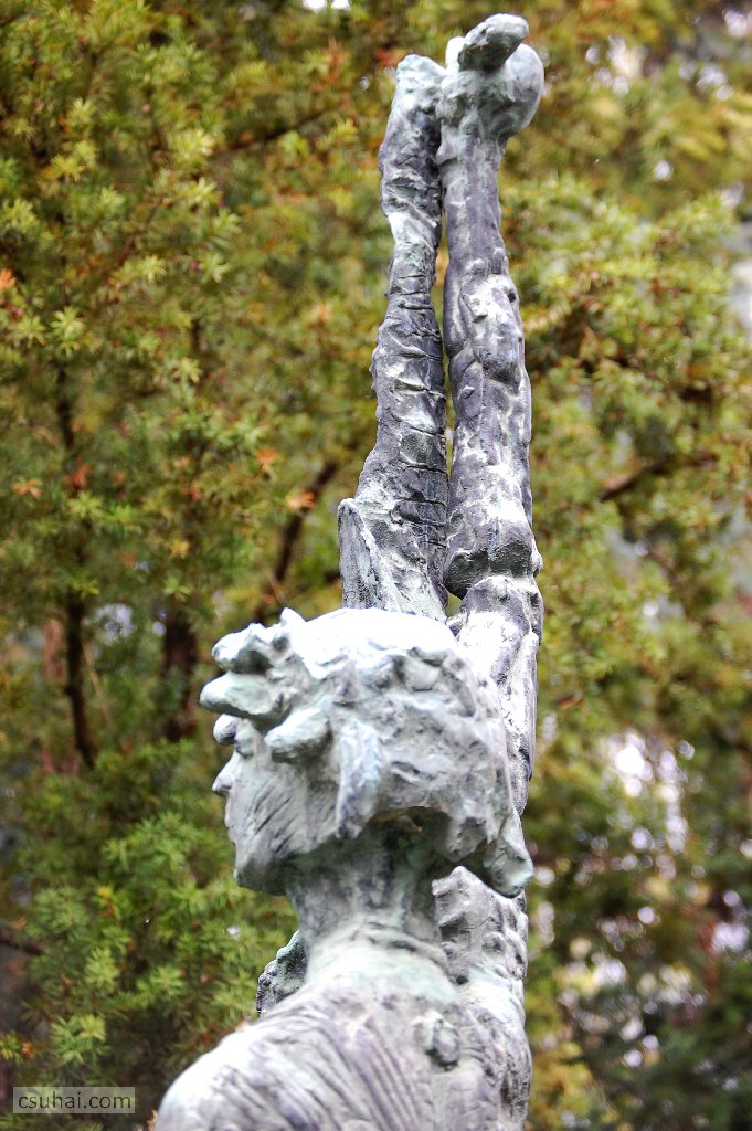 dsc_08342016-04-10_12-16-16