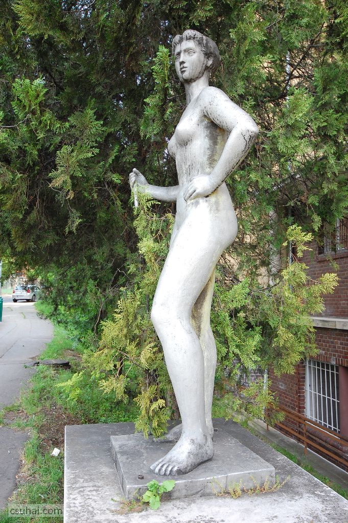 dsc_13542014-05-24_10-21-16