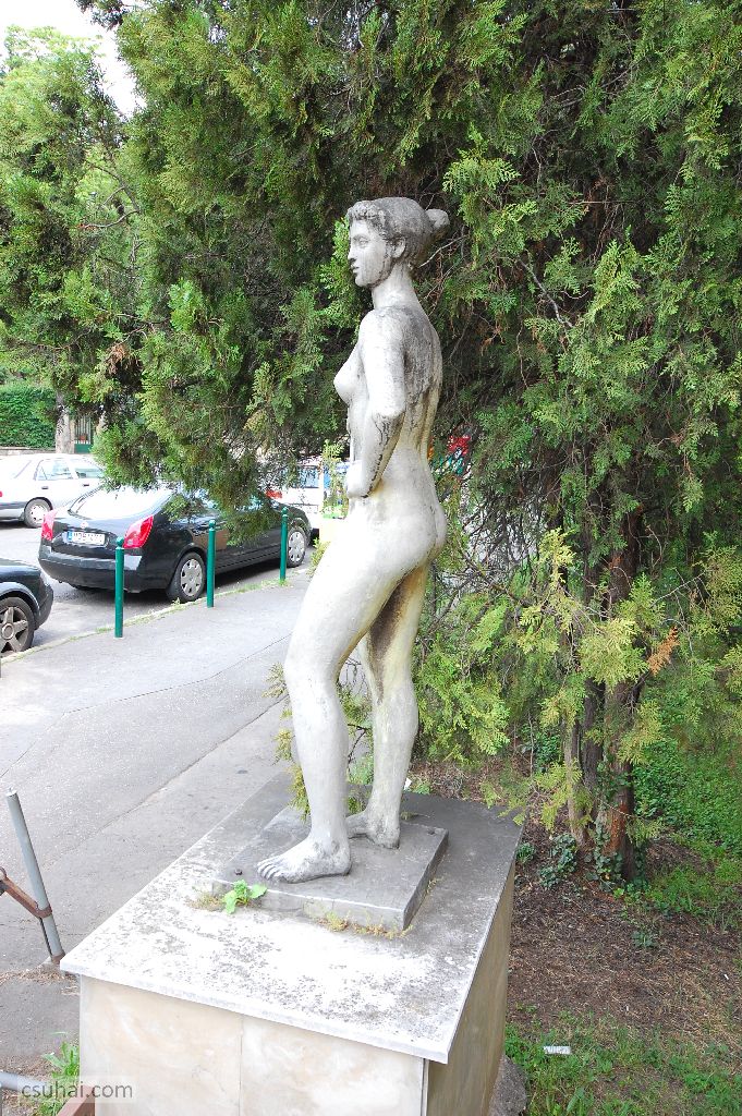 dsc_13552014-05-24_10-21-26